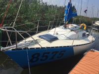 [IMG_7250 - kopie.JPG]